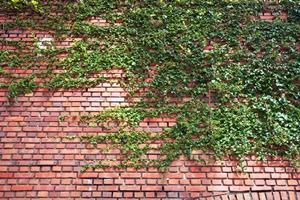 名古屋で理想のレンタルスペースを見つけるための完全ガイド！快適さとアクセスを両立させる方法