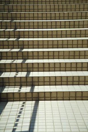 外壁調査には低コストで安全な赤外線調査