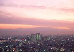 借地権問題に詳しいプロに相談しましょう