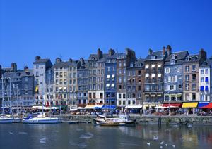 大工の技術を現代に活かした家づくり